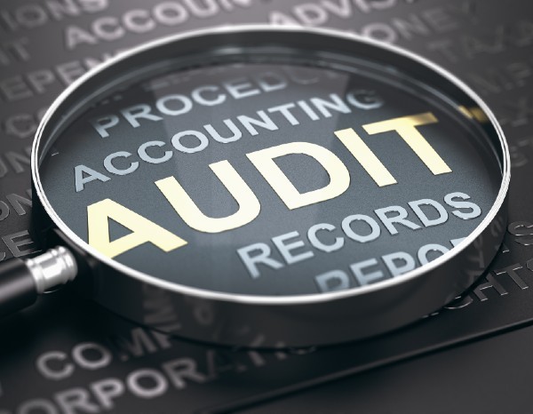 Internal audit – is it just for big business?